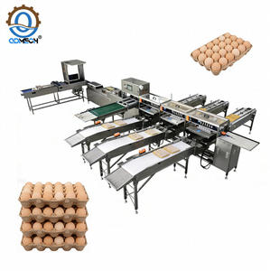 Automatische eierweeg- en verpakkingslijn met modulaire configuratie, eierselectie- en verpakkingsmachine productielijn - Product Image 1