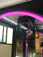 Machine d'arcade à monnayeur pour jeu de coupes de prix, modèle Pink Date