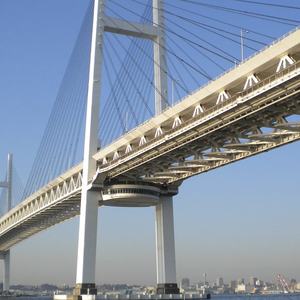 Imprimación Epoxi Rica en Zinc <span class=keywords><strong>con</strong></span> 70% de Contenido de Zinc, en Conformidad <span class=keywords><strong>con</strong></span> los Estándares del Mercado Principal, Revestimiento Líquido - Product Image 6