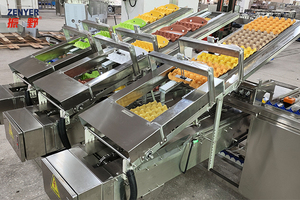 <span class=keywords><strong>2025</strong></span> zenyer 102bp quy mô nhỏ trứng học sinh lớp dẫn điện tử có trọng lượng với công suất 5000 tùy chọn trứng chế biến - Product Image 4