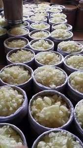 Amberite musquée - Product Image 2