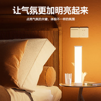 Lampe d'ambiance LED RGB Bluetooth rechargeable pour PC, effet flamme, pour camping extérieur, synchronisation musicale, contrôle par application, transfrontalière