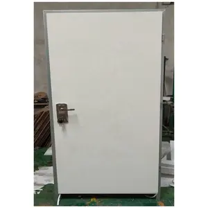 grey color security israel door