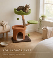 Arbre à chat en bois naturel avec tapis à gratter en jute de 4 mm en forme de nuage, hauteur 80 cm, meuble d'intérieur pour chat à placer près de la fenêtre