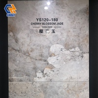 Carreaux de sol et de mur Sinray 1200x1200mm en pierre frittée ACCENTS Borders, modernes, antidérapants, antibactériens, zéro absorption d'eau, pour hall