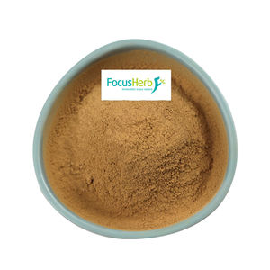 FocusHerb EUA Armazém Pronta Entrega 30% Polissacarídeo Extrato de Cogumelo Shiitake em Pó - Product Image 3