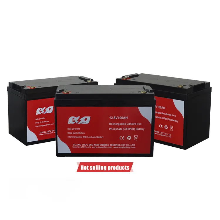 Batteria al litio ESG LiFePO4 12v 24v 36v 48v 20ah 40ah 50ah 60ah 100ah batteria al litio a ciclo profondo