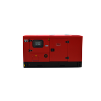 Groupe électrogène diesel monophasé 24 kW pour usage domestique avec moteur Yangdong Y4102D