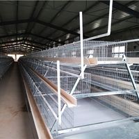 Nouvelle cage à poussins multi-niveaux en fil d'acier à faible teneur en carbone Q235 pour élevage de poulets pondeurs