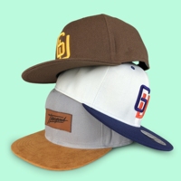 Casquettes Snapback de Sport Ajustées en Coton Classique à 6 Panneaux de Haute Qualité avec Logo Personnalisé pour Hommes