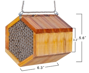 Handmade tự nhiên Cedar gỗ BEE Hive cao cấp chất lượng không thấm nước thân thiện với môi nuôi ong Nguồn cung cấp ngoài trời Vườn bền vững ong - Product Image 6