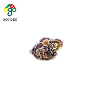 नई हॉट सेलिंग केरिटिन टर्की पूंछ कोरियोलस वर्सिकोलर यून झी मशरूम फंगली प्राकृतिक हर्बल थैंक्सगिविंग डे क्रिसमस - Product Image 2
