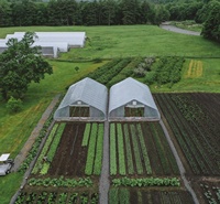 Grand tunnel de culture en PVC de 6x8x5m, tunnel de culture de fruits, serre en polytunnel