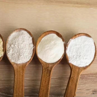 Sulfate de sodium anhydre de haute pureté pour l'industrie des détergents CAS 7757-82-6