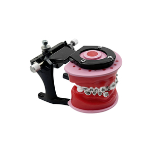 Modello Dentale Ortodontico per Trattamento con Brackets, per Pratica e Formazione di Tecnici Dentali, Insegnamento Odontoiatrico - Product Image 2