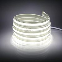 Bande LED COB AC220V Blanc Froid 6000K en Gros, Étanche Extérieur IP65/IP67/IP68, Ruban LED Flexible CRI90 Garantie 3 Ans