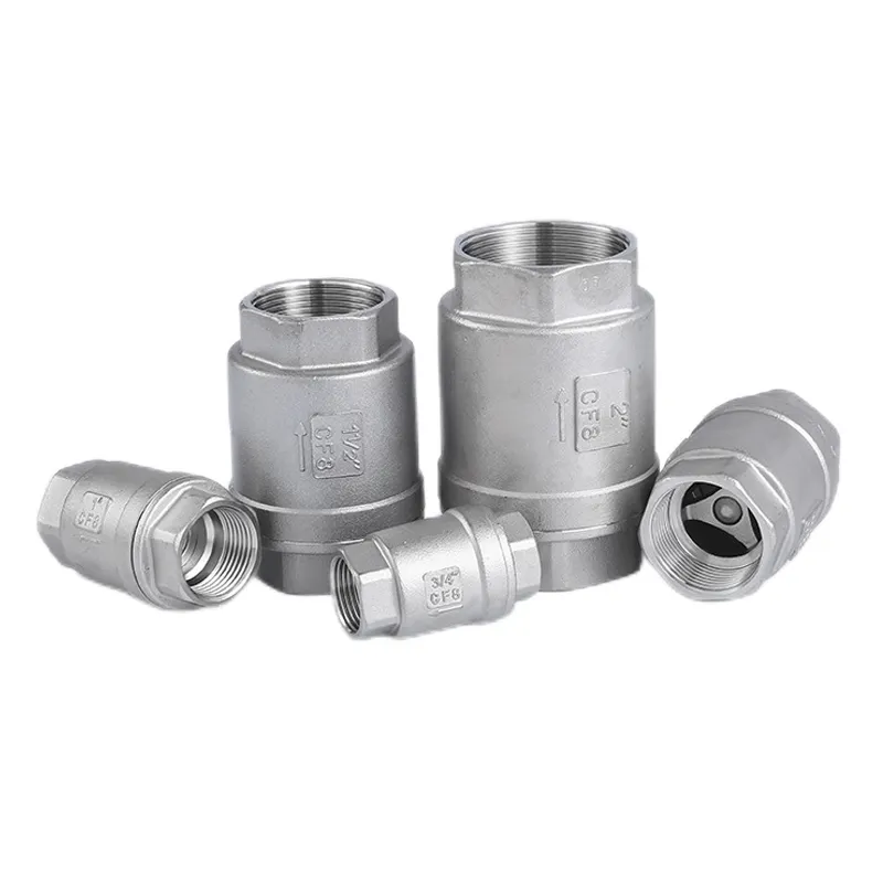 Hot Selling Vertical Check Valve High Quality Customized Stainless Steel Check Valve