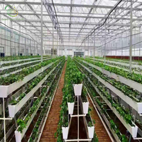 Serres agricoles industrielles de grande taille multi-voûtes de haute qualité, système de culture hydroponique, irrigation goutte à goutte
