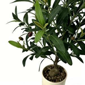 Olivo artificial, olivo artificial en maceta, olivo biónico, olivo artificial en maceta con aceite. - Product Image 6