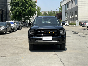 Porte-bagages robuste pour <span class=keywords><strong>voiture</strong></span> tout-terrain à essence, grande capacité de chargement, vente en gros H5, marché automobile africain - Product Image 2
