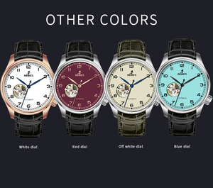 Lujo nh35 Etiqueta Privada logotipo personalizado reloj hombres automático impermeable reloj mecánico esqueleto relojes de pulsera - Product Image 6