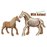 Sciences naturelles éléphant tigre vache cheval modèle bricolage animal squelette jouet