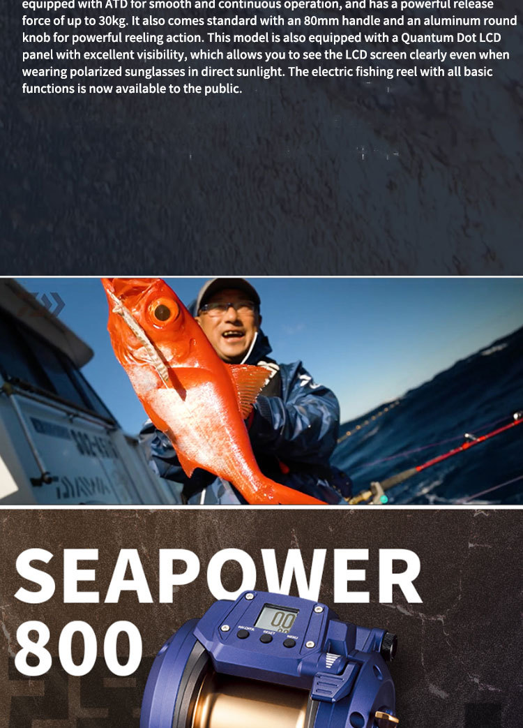 Moulinet De Pêche électrique Daiwa SEAPOWER 800 - Haute Performance - Fabriqué Au Japon - Pour Mer