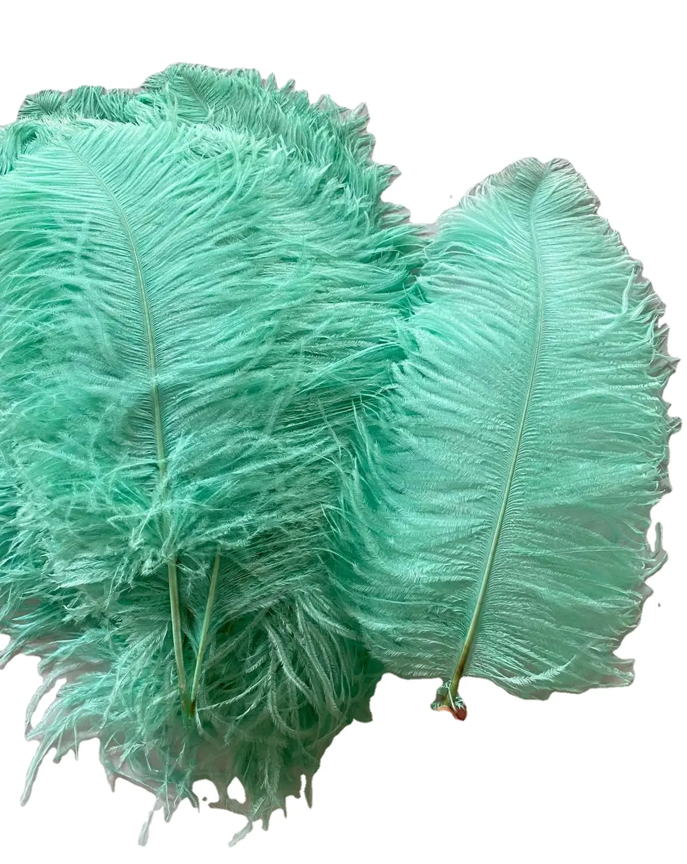 Wholesale Teal Natural Ostrich Feather Big Large White Black Bulk Long Carnival Party Decorations Ostrich Feathers For Wedding