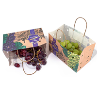 Sacs en papier carrés avec poignée pour raisins frais
