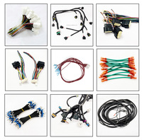 Arnés de Cables LED Rojo y Negro Personalizado con Terminales de Crimpado, Fabricante de Conjuntos de Cables Eléctricos