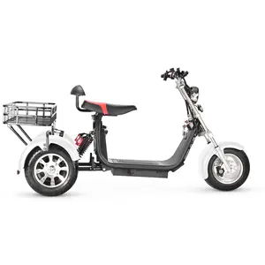 Big basket powerful removable battery best quality three wheel electric tricycle scooter trike