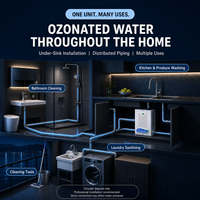Générateur d'eau ozonée sous évier, système d'eau ozonisée pour toute la maison, machine à eau ozonée murale pour le nettoyage de la cuisine domestique
