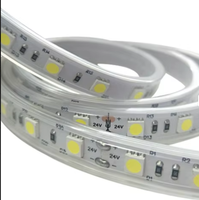 Lampu strip LED 5050 lebar 10mm yang dapat dipotong, beroperasi pada DC 12V / 24V, dikontrol oleh aplikasi, Ra90, IP67, cocok untuk taman luar ruangan