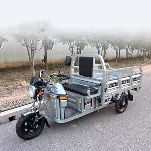 Tricycle électrique motorisé à frein à tambour fermé, <span class=keywords><strong>prix</strong></span> <span class=keywords><strong>d</strong></span>'usine, super puissant, pour adultes, haute vitesse, robuste, capacité de charge de 400 kg, vélo <span class=keywords><strong>cargo</strong></span> - Product Image 4