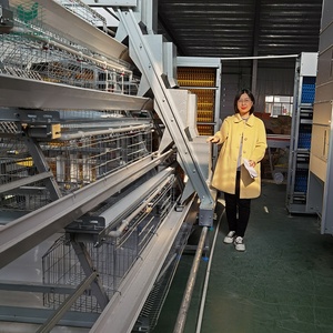 Ouganda Kenya Ferme de volaille nouvel état 4 pneus couche batterie <span class=keywords><strong>Poulailler</strong></span> Poule Cages à vendre à bas prix - Product Image 4