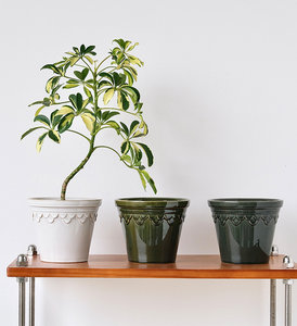 Pot de fleurs en céramique nordique émaillé, pot créatif vert rétro pour la maison et le jardin, pot spécial pour les orchidées Phalaenopsis, respectueux de l'environnement - Product Image 1