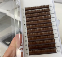 Plateau d'extensions de cils Volume russe en cachemire marron J B C CC D DD L M Curl 0.03 0.05 0.07mm Aucun cils collants"