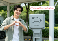 Prise de charge pour véhicule électrique industrielle IGERCN, IP66, en cuivre, 1 gang, 250V/16A, prise française, extérieur, IGW1-FR
