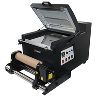 Nouvelle machine à secouer la poudre entièrement automatique en acier inoxydable avec sécheur pour impression DTF rouleau à rouleau et mélange de poudre de 30 cm