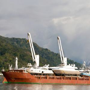 Gru da Ponte Marina Idraulica da 15 Tonnellate a Basso Rumore Certificata CE per Allevamenti Ittici Galleggianti - Product Image 3