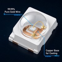 Lámpara de Efecto de Atmósfera Dinámica para Escenario, LED Azul 2835 de 460nm y 0.5W, Ángulo de 120 Grados, Fuente Profesional