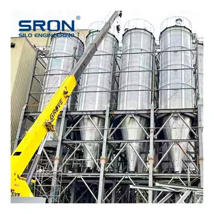 SRON Small Capacity Silo 20 Tons 30 Tons 50 Tons Grain Silo Cattle Feed Storage Silo In Animal Feed Line