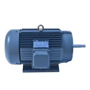 LEADGO Water drip proof Electric AC Induction Motor 3 Phase Induction Motor 250kW