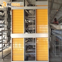 Système de cages en batterie galvanisées de type H automatique pour l'élevage de poulets, 25000 poulets, avec collecte des œufs et abreuvement