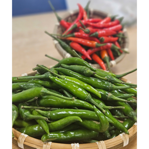 พริกแดงสดจากเวียดนามเครื่องเทศทางการเกษตรสมุนไพรแช่แข็งราคาดีขายส่ง - Product Image 4