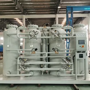 Nitrogen Making Machine High Purity Gas Generation Equipment N2 Generator Psa Nitrogen Generator