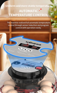 Incubadora Automática Multifuncional de Alta Productividad para Pollos, Pavos y Patos, con Capacidad para 12 Huevos - Product Image 6