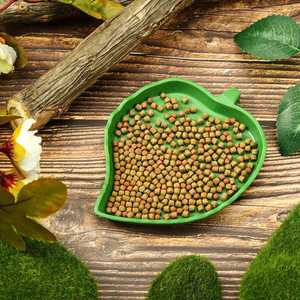 Plato de Agua de Plástico en Forma de Hoja para Reptiles, Alimento para Gusanos, Utensilios para Beber y Comer, Protección Ambiental - Product Image 2