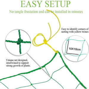 ตาข่ายรังนกตาข่ายสำหรับปลูกต้นไม้ PE ทนทานตาข่ายรังนก - Product Image 2