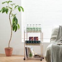 Étagère de rangement pliable en acier inoxydable à 2 niveaux pour salle de bain, conteneur de bureau pour cosmétiques et articles de toilette en PET avec roulettes
